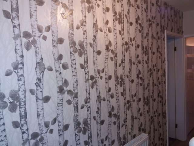 Painting and Wallpapering Wincham March 2017 - 3